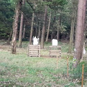 ArcheryRange thumb2